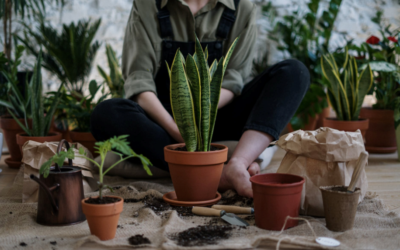 Maine Autumn Plants to Keep Pests Away from Your Home