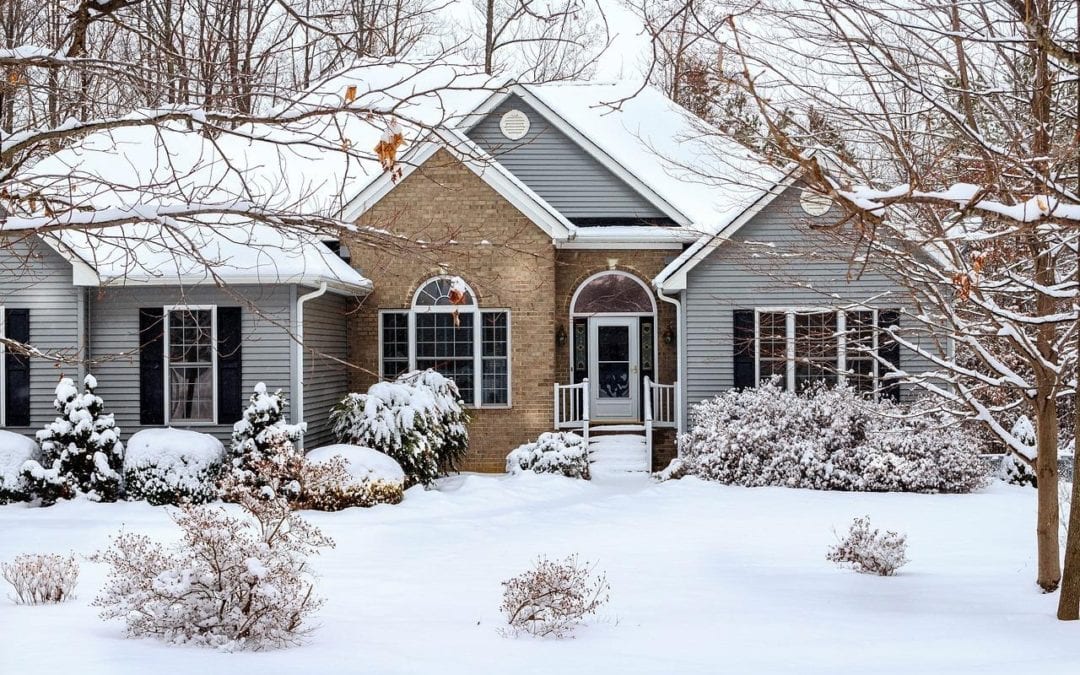 5 Reasons You Still Need Pest Control to Protect Your Home for a Maine Winter