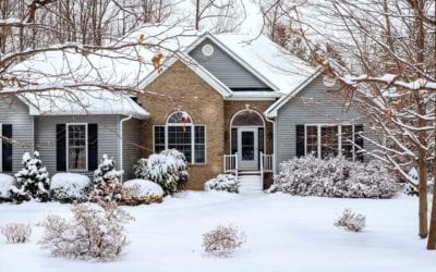 5 Reasons You Still Need Pest Control to Protect Your Home for a Maine Winter